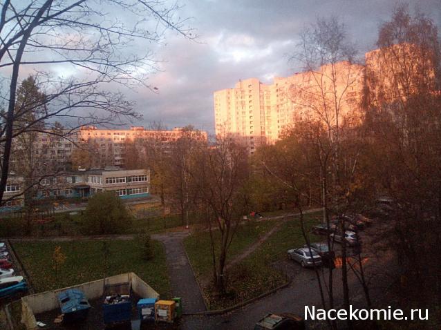 "Живой уголок"