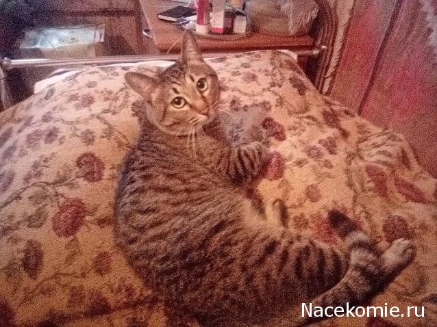 "Живой уголок"