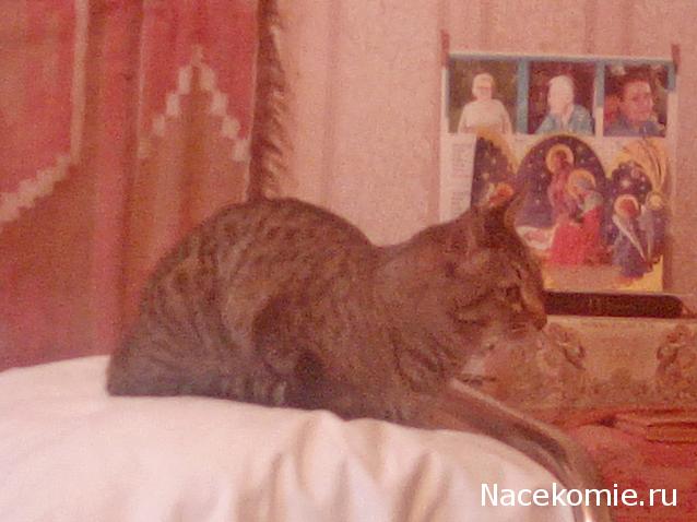 "Живой уголок"