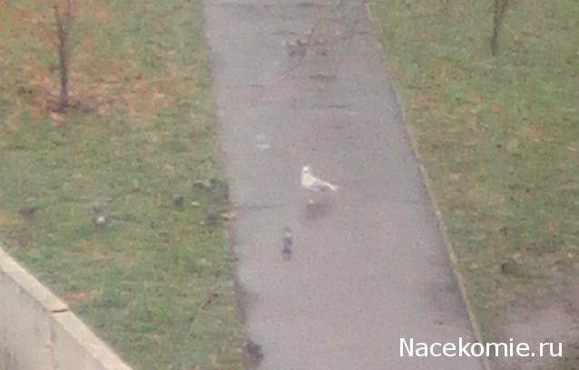 "Живой уголок"