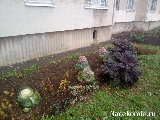 "Живой уголок"