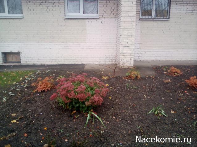 "Живой уголок"