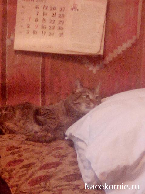 "Живой уголок"