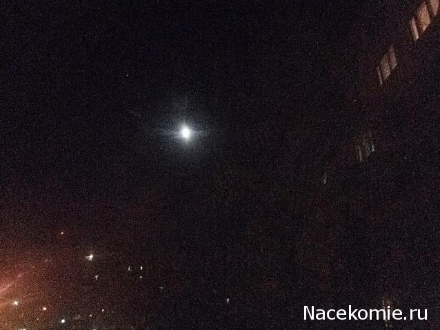 "Живой уголок"