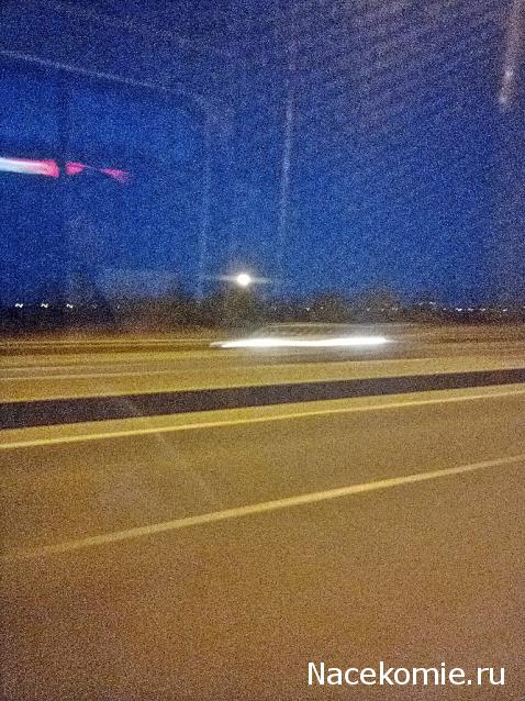 "Живой уголок"