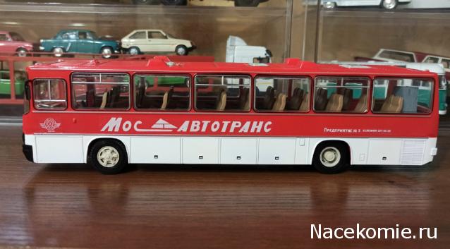 Наши Автобусы №18 - Икарус-250.59