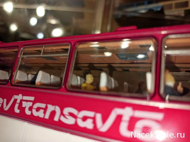 Наши Автобусы №18 - Икарус-250.59