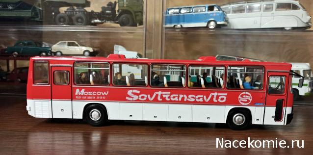 Наши Автобусы №18 - Икарус-250.59
