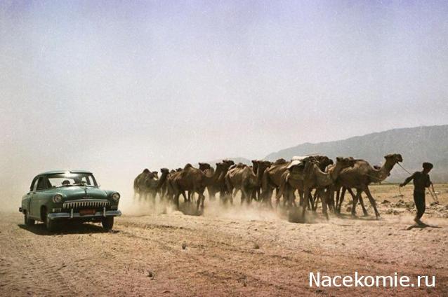 Болталка АЛ и АНС