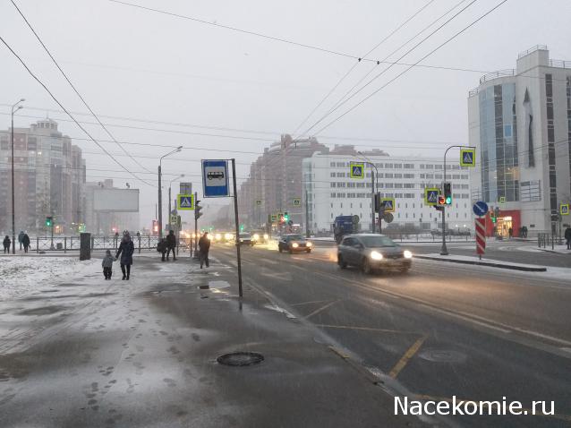 "Живой уголок"
