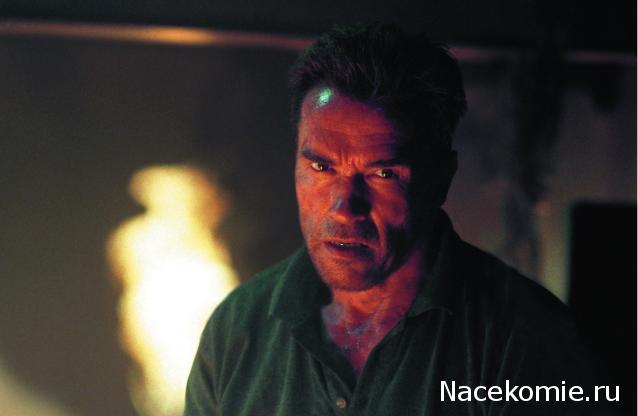 Кинозал автолюбителей