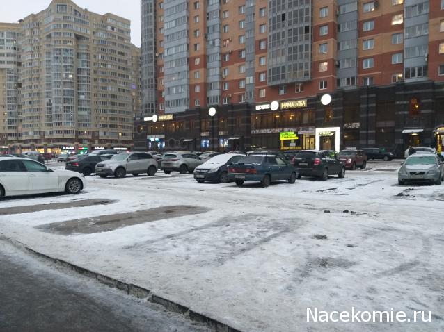 "Живой уголок"