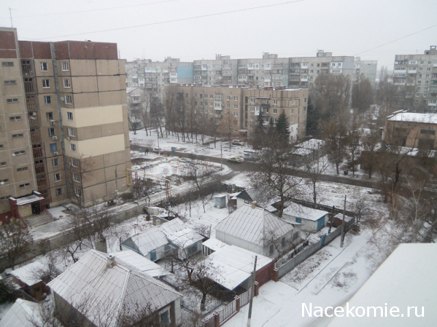 "Живой уголок"