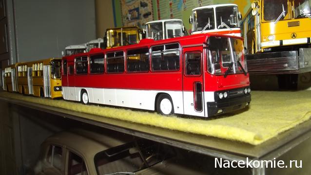 Наши Автобусы №18 - Икарус-250.59