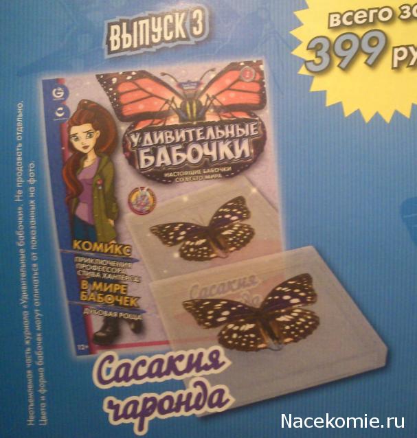 Удивительные Бабочки №3 - Сасакия Чаронда