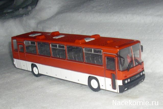 Наши Автобусы №18 - Икарус-250.59
