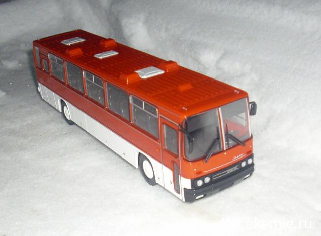 Наши Автобусы №18 - Икарус-250.59