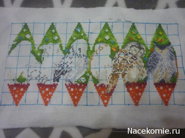 100 крестиков!