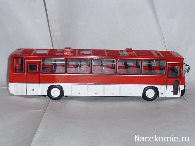 Наши Автобусы №18 - Икарус-250.59
