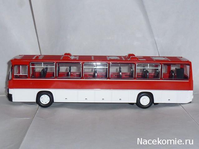 Наши Автобусы №18 - Икарус-250.59