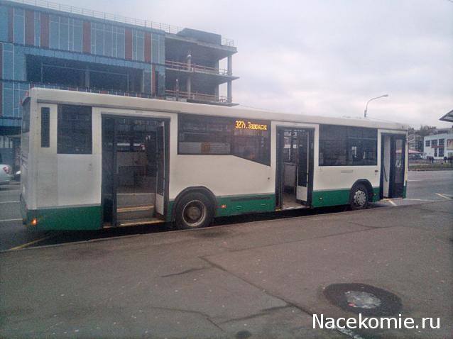 Околоавтобусная болталка