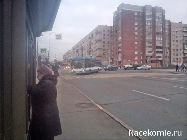 Околоавтобусная болталка