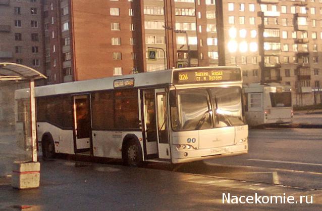 Околоавтобусная болталка