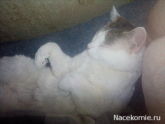 "Живой уголок"