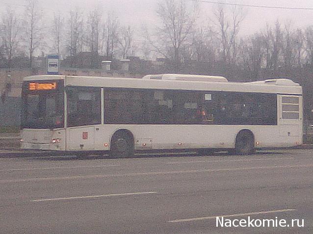 Околоавтобусная болталка