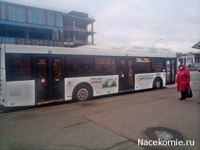 Околоавтобусная болталка