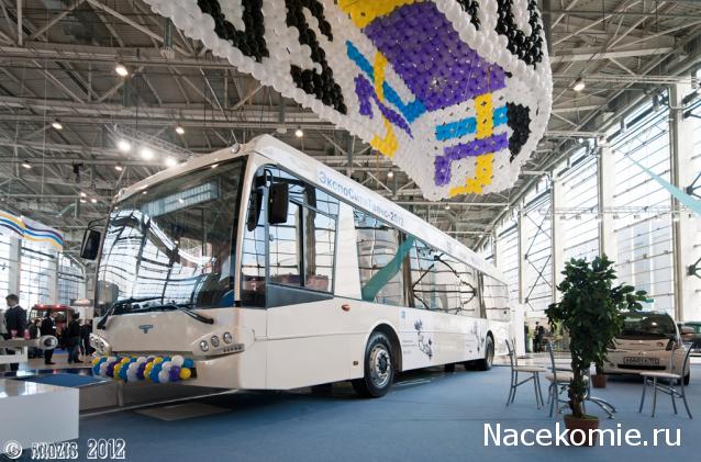Околоавтобусная болталка