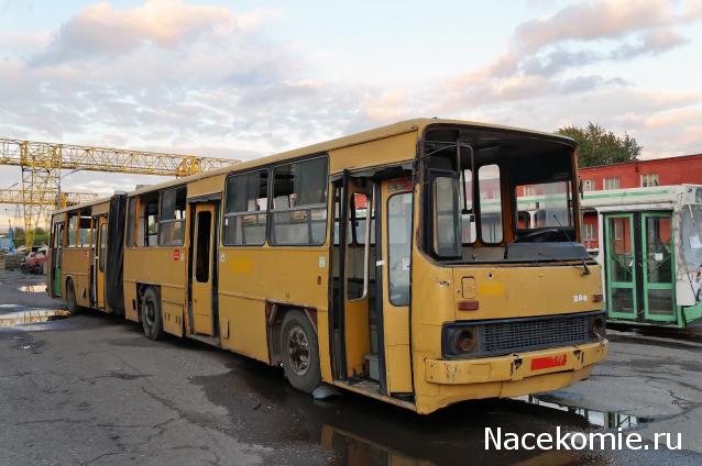 Околоавтобусная болталка