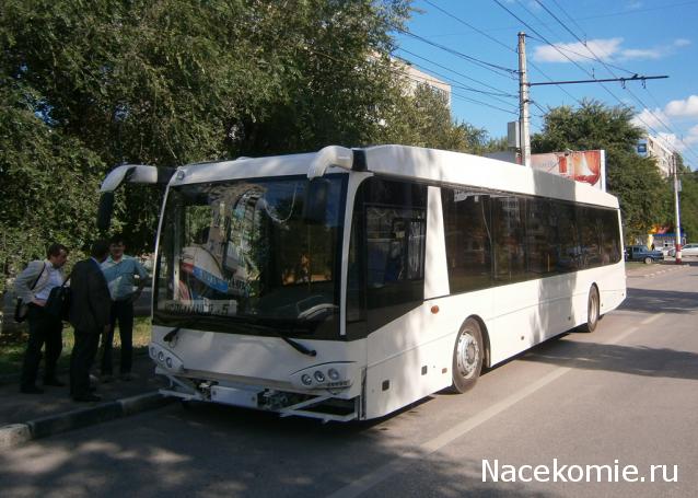 Околоавтобусная болталка