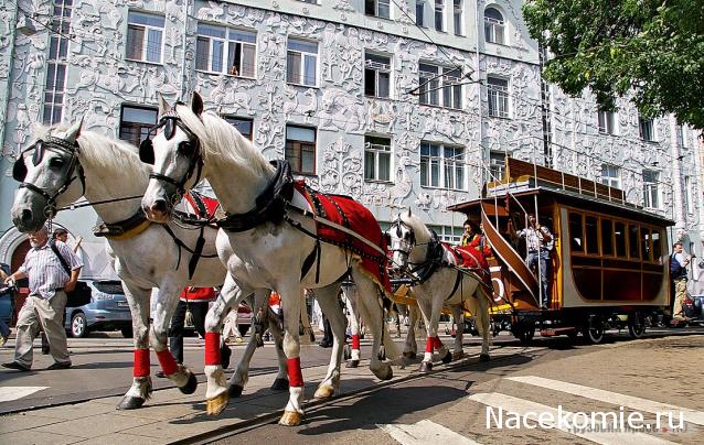 О транспорте и не только...