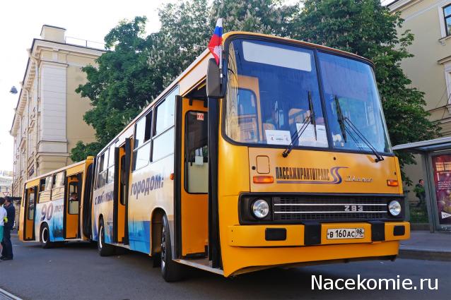 Околоавтобусная болталка