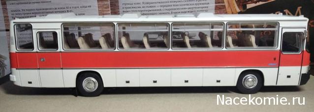 Наши Автобусы №18 - Икарус-250.59