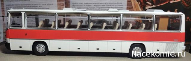 Наши Автобусы №18 - Икарус-250.59