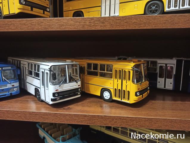 Ваши коллекции автобусов и общественного транспорта
