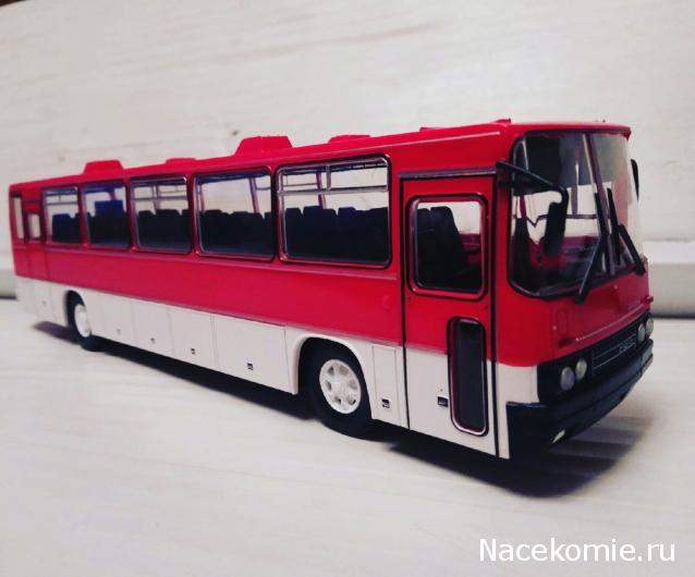 Наши Автобусы №18 - Икарус-250.59