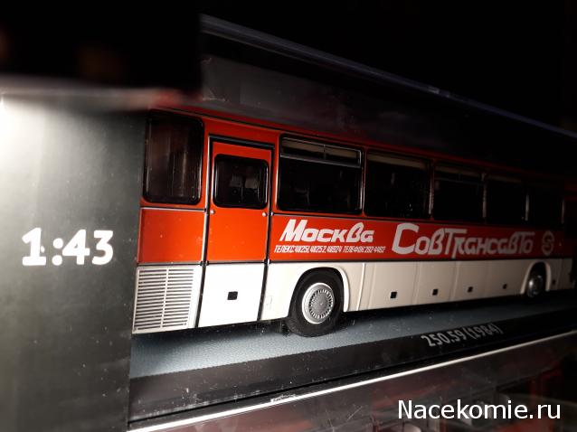 Наши Автобусы №18 - Икарус-250.59