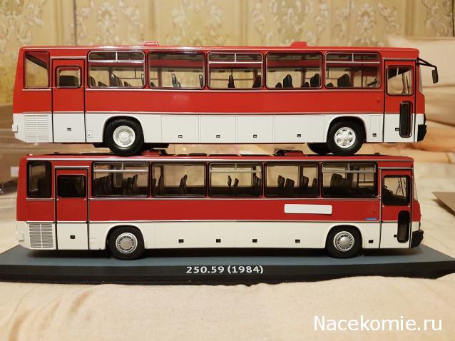 Наши Автобусы №18 - Икарус-250.59