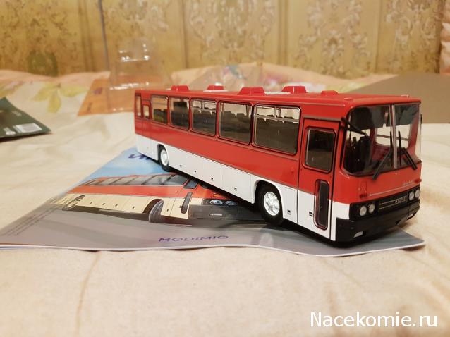Наши Автобусы №18 - Икарус-250.59