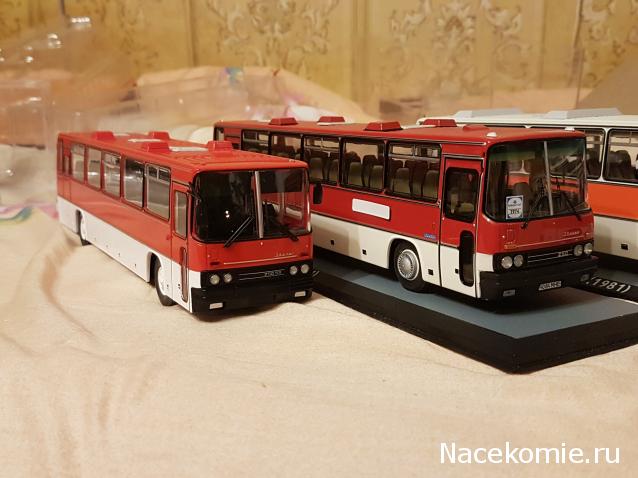 Наши Автобусы №18 - Икарус-250.59