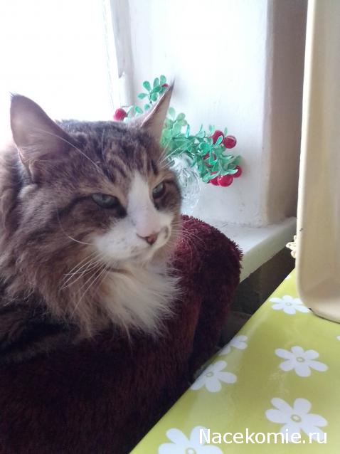 Liana65-Snegana - Мой будущий дом и его обитатели.