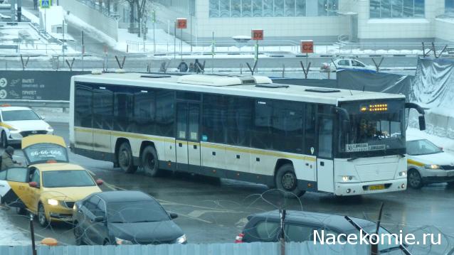 Околоавтобусная болталка