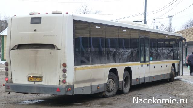 Околоавтобусная болталка