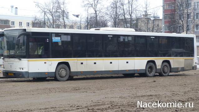 Околоавтобусная болталка