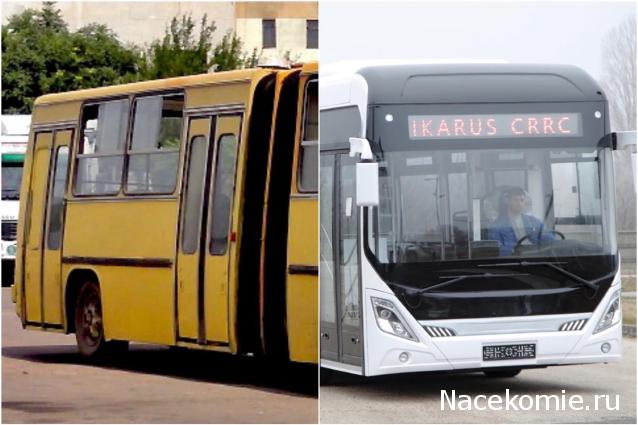 Околоавтобусная болталка