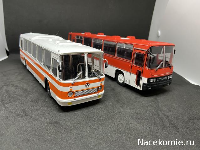 Наши Автобусы №18 - Икарус-250.59
