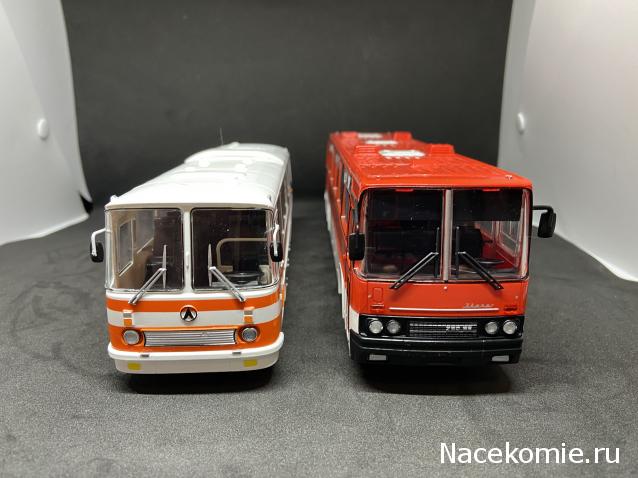 Наши Автобусы №18 - Икарус-250.59